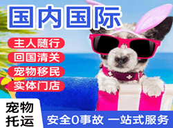三亚凤凰航空邮寄国际宠物托运 【国